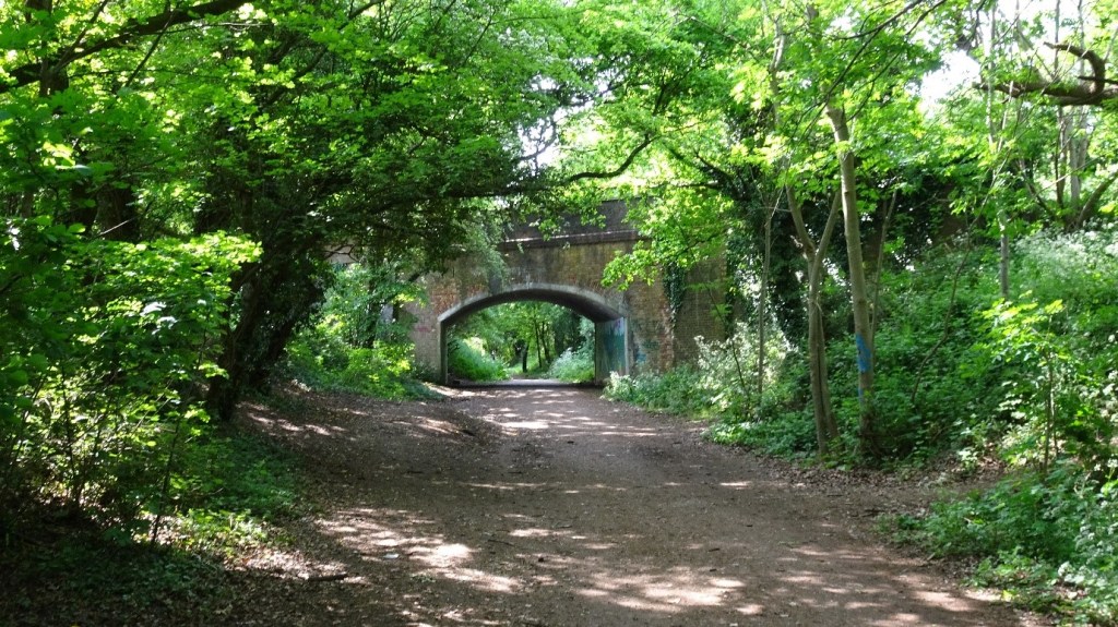 Ebury Way, westbound at Tolpits Lane bridge